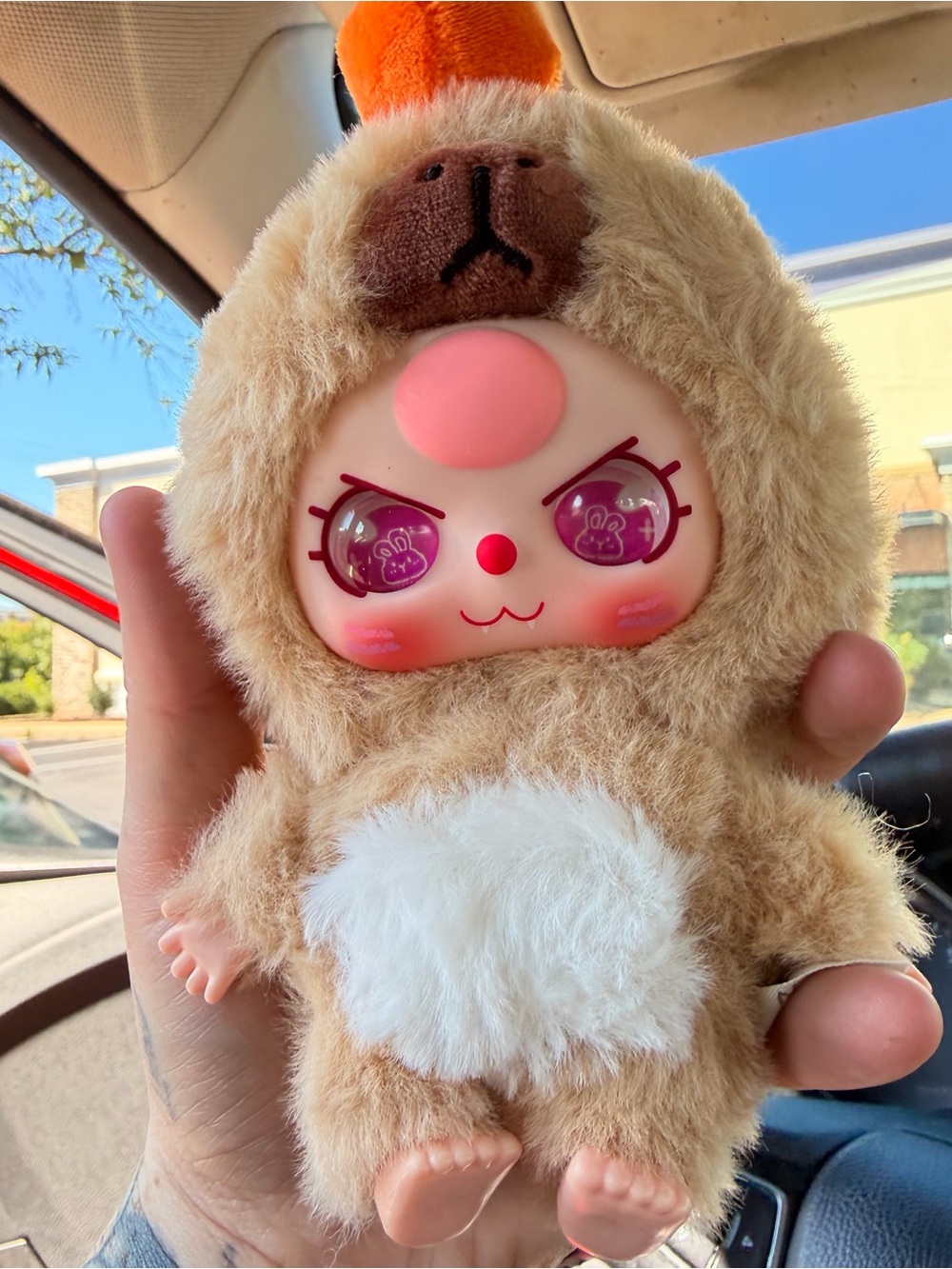 Baby three capybara !! With special eyes box bag and card